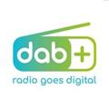 ‘Indeling DAB+ voor lokale omroepen in loop van 2019 definitief’
